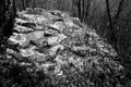 Rocky Outcrop in the Pocono Mountains Royalty Free Stock Photo