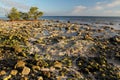 Rocky Outcroppings in the Florida Keys Royalty Free Stock Photo