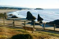 Rocky Pacific Northwest beach landscape Royalty Free Stock Photo