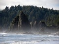 Rocky Pacific Northwest Coast, Sea Stacks on Rialto Beach Royalty Free Stock Photo