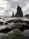 Rocky Pacific Northwest Coast, Sea Stacks on Rialto Beach Royalty Free Stock Photo