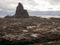 Rocky Pacific Northwest Coast, Sea Stacks on Rialto Beach Royalty Free Stock Photo