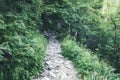 Rocky path in green forest. Appalachian Hiking Trail Royalty Free Stock Photo