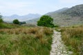 A rocky path on right hand side leads across grassland meadow to mountains Royalty Free Stock Photo