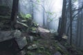 Rocky path through old foggy forest Royalty Free Stock Photo