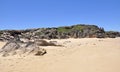 Rocky Penguin Island: Beach with Dunes Royalty Free Stock Photo