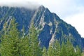 Rocky ridged mountain and pine trees