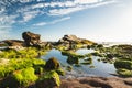 The Rocky Riffs at Sunset, Eldwayen Ocean Park, Pismo Beach, California. Surf Grass, Cloudy Sky Background. Wildlife Reserve, Paci