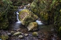 Rocky River in Alva Glen Scotland Royalty Free Stock Photo