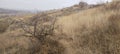 Rocky river bank among hills overgrown with vegetation, granite stones among dry yellowed grass Royalty Free Stock Photo