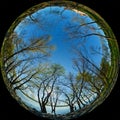 Rocky river bank with trees on a spring sunny day - hdr circular fisheye panorama
