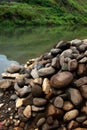 Rocky river banks with white water rapids Royalty Free Stock Photo