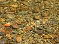 Rocky River Bottom Royalty Free Stock Photo