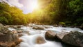 Rocky river landscape in rainforest, New Zealand Royalty Free Stock Photo