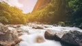 Rocky river landscape in rainforest, New Zealand Royalty Free Stock Photo