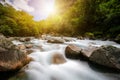 Rocky river landscape in rainforest, New Zealand Royalty Free Stock Photo