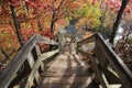 Rocky River Reservation, Cleveland Metroparks