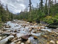 Rocky river surrounded by the green trees of a forest with mountains in the background Royalty Free Stock Photo