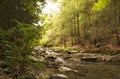 Rocky Riverbed Royalty Free Stock Photo