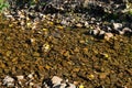 Rocky riverbed of a quiet stream Royalty Free Stock Photo