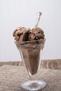 Rocky road Ice cream Royalty Free Stock Photo