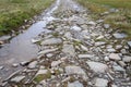 Rocky road with paddles Royalty Free Stock Photo