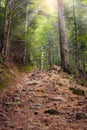 The rocky road up in the mountains, Carpathians Royalty Free Stock Photo