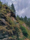 Rocky rocks overgrown with grass