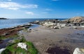 Rocky sandy beach landscape