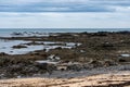 Rocky scenic beach at Ytri Tunga in Iceland