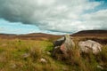 Rocky Scotland