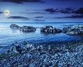 Rocky sea coast with seaweed at night Royalty Free Stock Photo