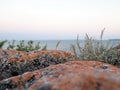 A fragment of rock, old natural stone covered with black lichen and moss, on a blurred sea background.