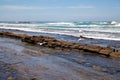 Rocky sea shore diagonally with rolling turquoise waves under the blue sky and flying seagulls Royalty Free Stock Photo