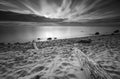 Rocky sea shore with driftwood at sunrise. Beautiful seascape Royalty Free Stock Photo