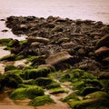Rocky seascape with seaweeds in Waterville, County Kerry - vintage effect. Royalty Free Stock Photo