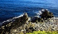 Rocky Seashore in Caithness, Scotland, U.K. Royalty Free Stock Photo