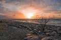 rocky seashore in Latvia by the Baltic Sea Royalty Free Stock Photo