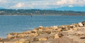 Rocky seashore in the pacific rim national park in Vancouver island  BC Royalty Free Stock Photo