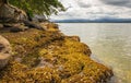 Rocky seashore in the Pacific rim National Park in Vancouver Island BC, Canada. Beautiful seaside landscape Royalty Free Stock Photo