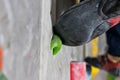 Rocky shoe on a tiny, scanty snare stands with the tip of the sock in close-up on the climbing wall in the room Royalty Free Stock Photo