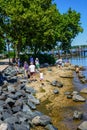 Rocky Shore along Chesapeake Bay