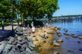 Rocky Shore along Chesapeake Bay