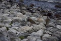 rocky shore of the Beautiful lakes in argentinian Lake District near Bariloche, Argentina Royalty Free Stock Photo