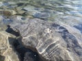 Rocky shore or coast by the water