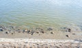 Rocky shore on Danube river with green water view from above Royalty Free Stock Photo
