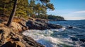 Captivating Hasselblad H6d-400c: Stunning Rocky Coast With Pine Trees And Crashing Waves Royalty Free Stock Photo