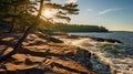 Lively Coastal Landscapes: A Pine Tree On A Rocky Cliff Facing Crashing Waves Royalty Free Stock Photo