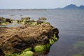 Rocky shore. Ile Saint Honorat.