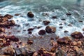 Rocky shore